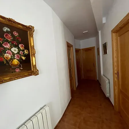 Zuchar * グラナダ